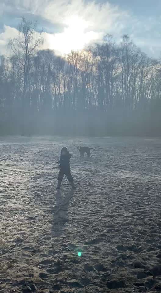 Hundeauslaufgebiet-Steller Heide-Bild