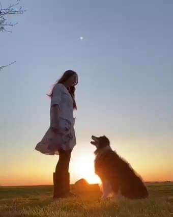 Spaziergang mit Husky-Beitrag-Bild