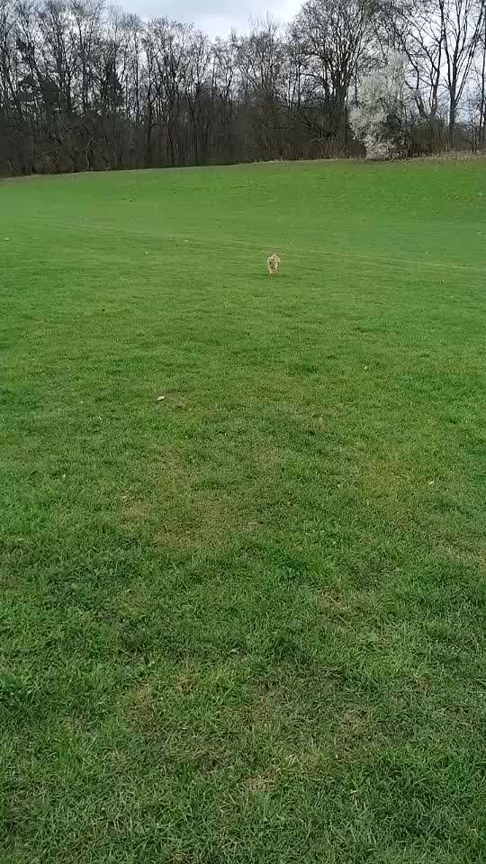 HANDY VIDEO CHALLENGE NR. 30: RÜCKRUF-Beitrag-Bild