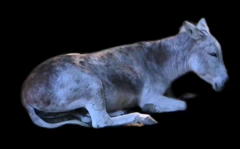 20. Kurzgeschichten Challenge: Märchen-Beitrag-Bild