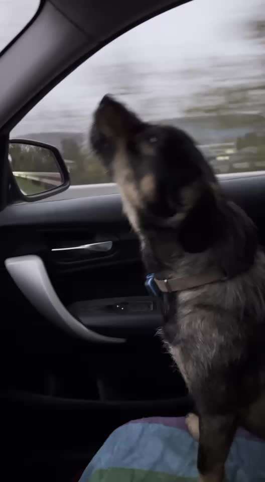 Kastration?-Beitrag-Bild