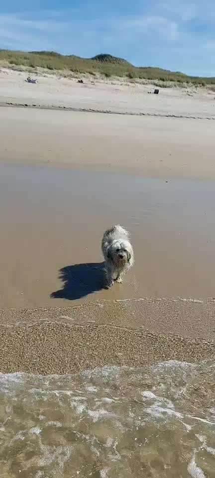 50. Video Challenge - Wasserscheu oder nicht-Beitrag-Bild