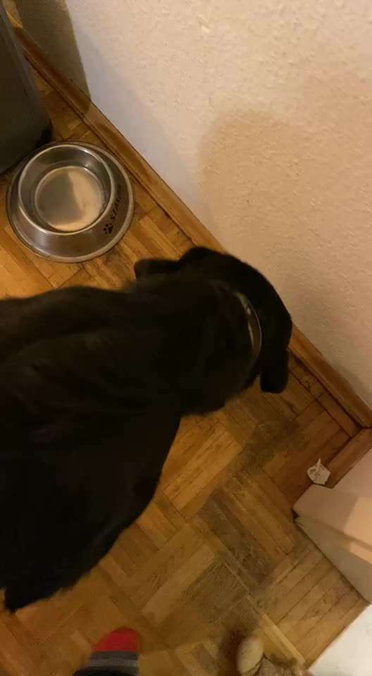 Ruhe gegen Schlingen?-Beitrag-Bild