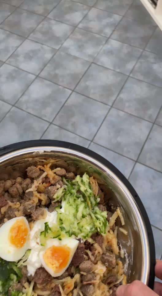 Magendrehung-Beitrag-Bild