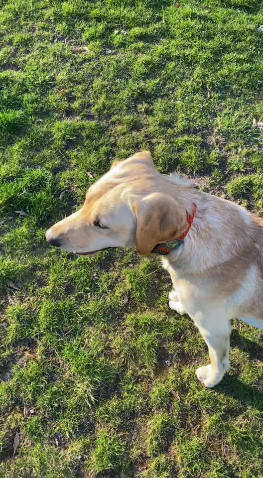 Apportieren-Beitrag-Bild