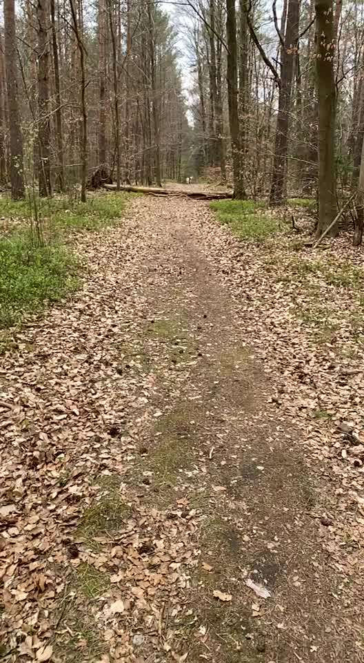 Welches Wort für den Rückruf?-Beitrag-Bild