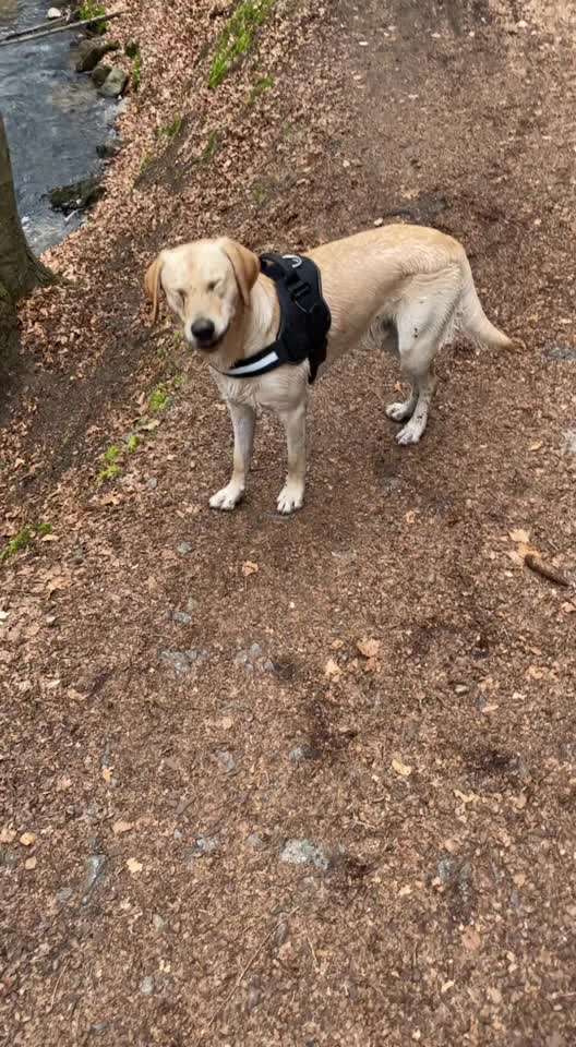 Apportieren-Beitrag-Bild