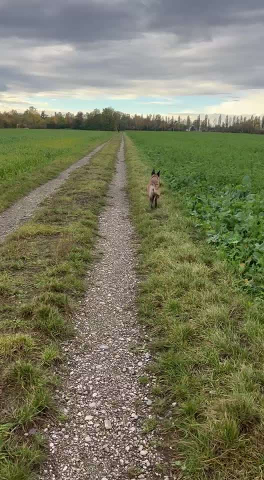 Aufbau des Down-Kommandos?-Beitrag-Bild