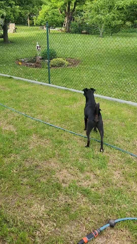 Analyse & Interpretation von Verhalten-Beitrag-Bild