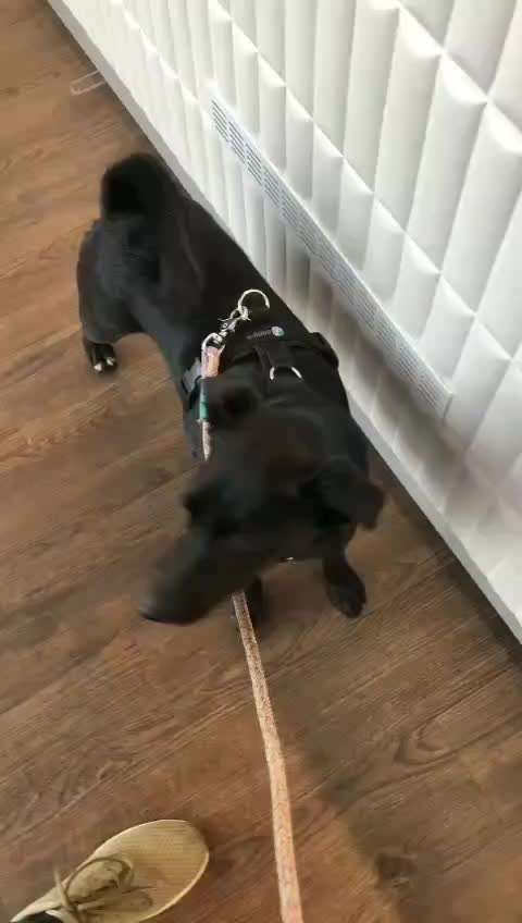 Impulskontrolle Challenge Nr.: 7
         "Gesellschaftsfähig"-Beitrag-Bild