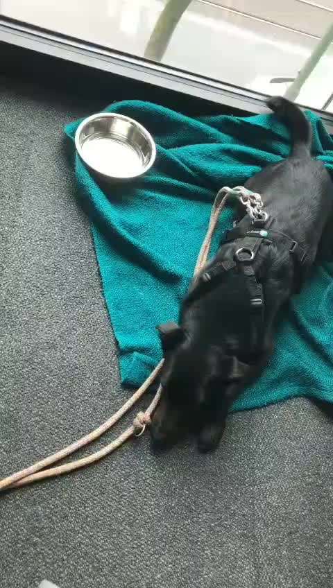 Impulskontrolle Challenge Nr.: 7
         "Gesellschaftsfähig"-Beitrag-Bild