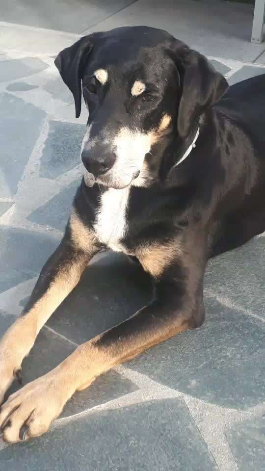 Doppelgänger gesucht !-Beitrag-Bild