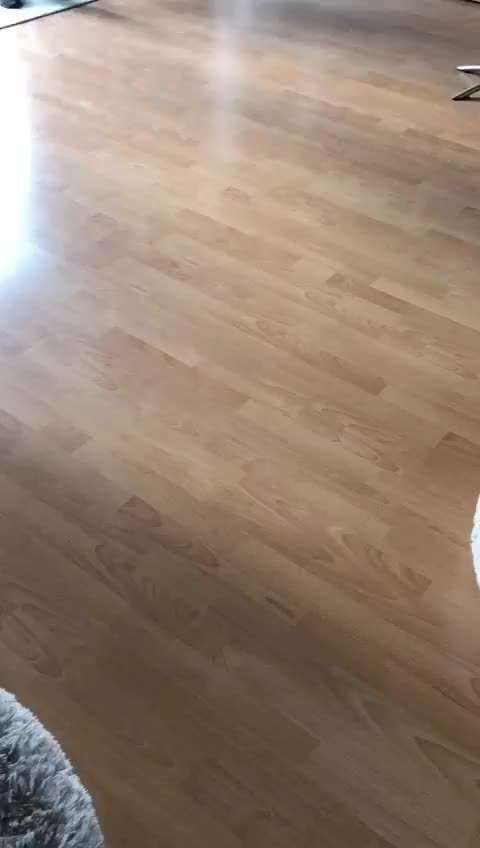 Trick Challenge Nr 6-Beitrag-Bild