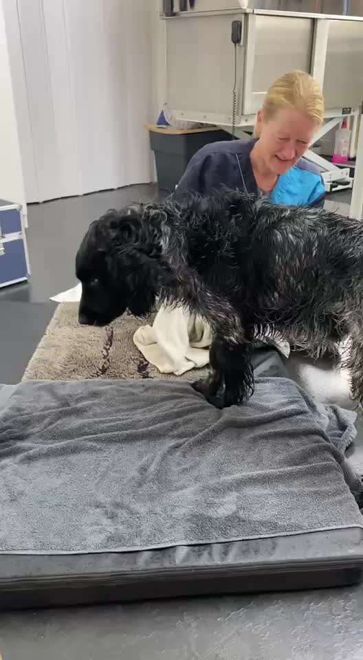 Was hat euch heute gefreut?-Beitrag-Bild