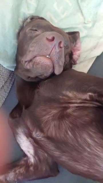 Die unbequemsten und lustigsten Schlafpositionen-Beitrag-Bild