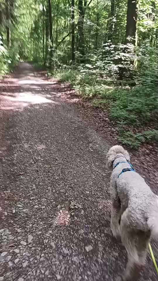 54. Impulskontrollchallenge  PAUSE MACHEN !-Beitrag-Bild