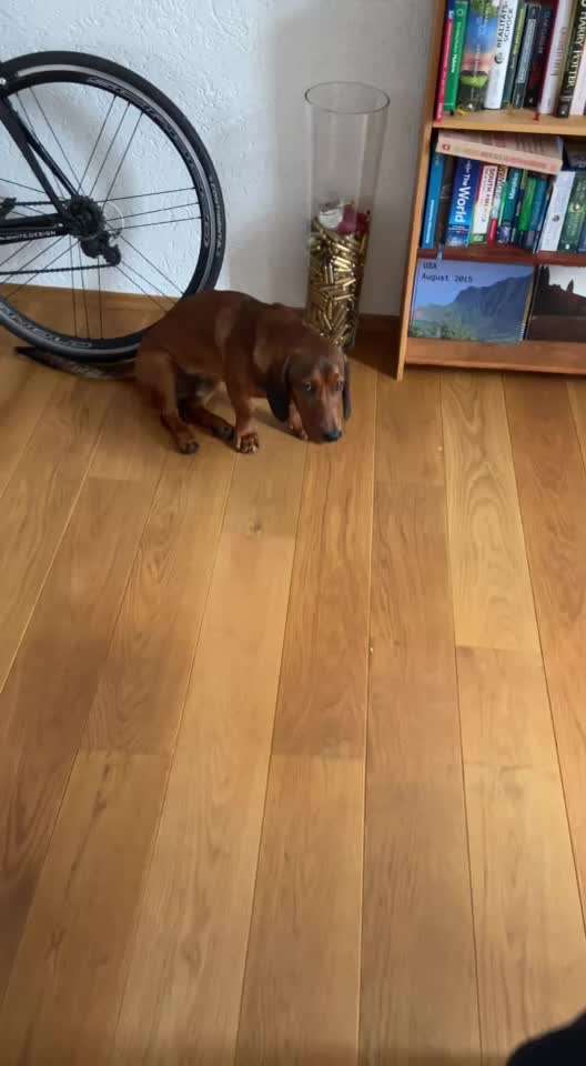 Husten und Würgt, hat jemand Erfahrung?-Beitrag-Bild