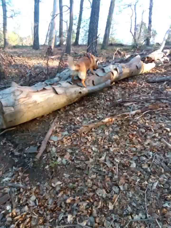 Beschäftigungsideen gesucht 😊-Beitrag-Bild