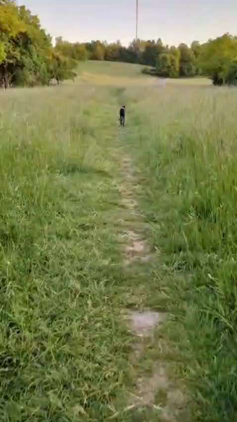 Komunikation-Beitrag-Bild