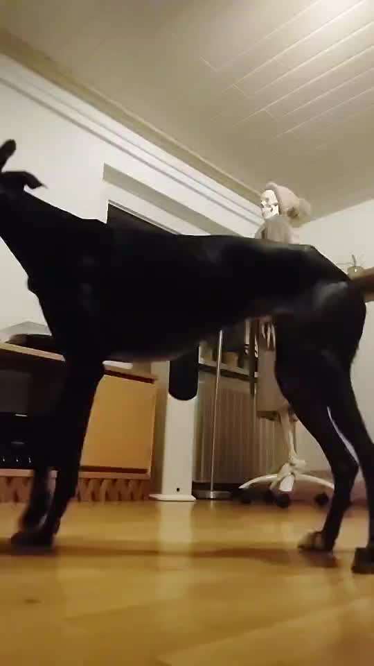 Trick Spiel - Koffer packen - der 16.-Beitrag-Bild