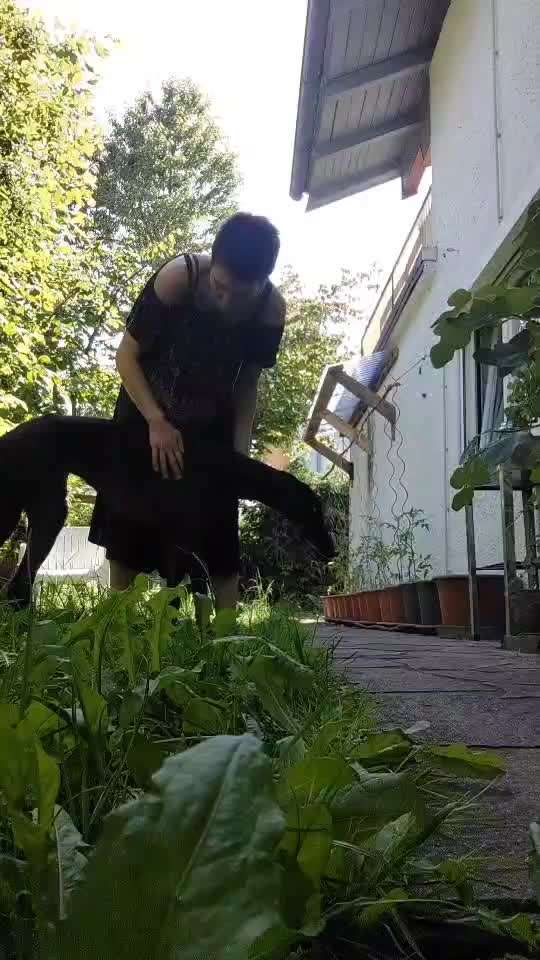 36. Impulskontrollübung-Beitrag-Bild