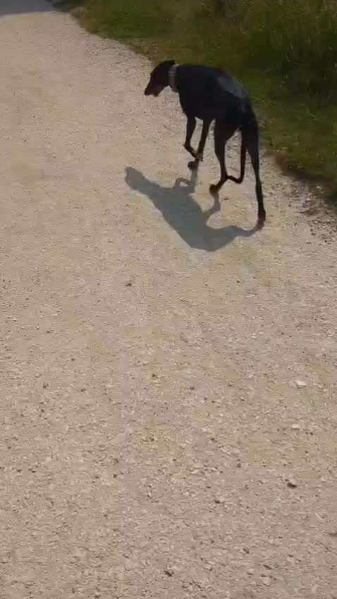 54. Impulskontrollchallenge  PAUSE MACHEN !-Beitrag-Bild