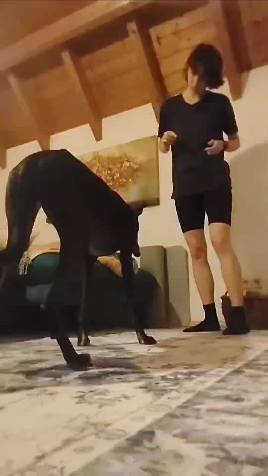 74. Trick-Übung "Leckerli schnappen"-Beitrag-Bild