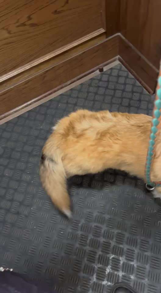 Juckreiz oder Schmerz?-Beitrag-Bild