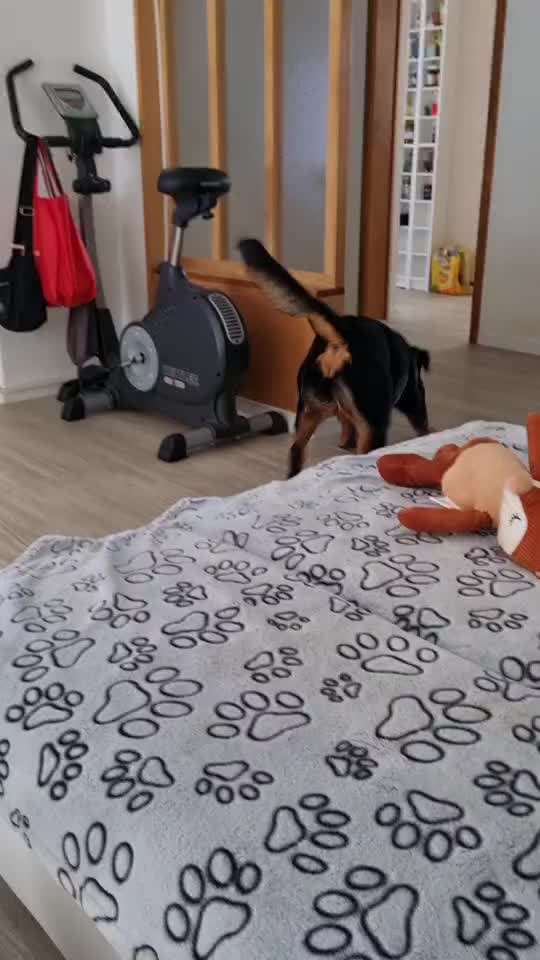 Was würdest du jetzt anders machen?-Beitrag-Bild