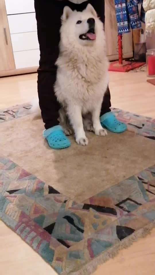 Trick Callange Nr.4-Beitrag-Bild