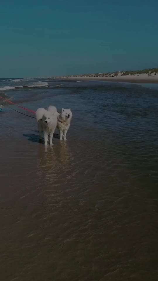 Urlaub Dänemark-Beitrag-Bild