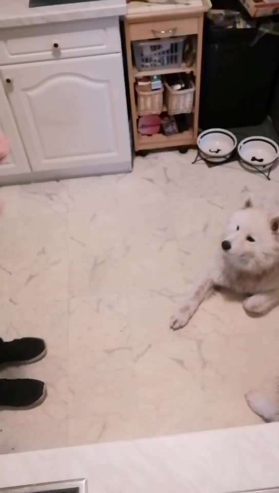 𝕋ℝ𝕀ℂ𝕂 ℂℍ𝔸𝕃𝕃𝔼ℕ𝔾𝔼 ℕℝ. 𝟙-Beitrag-Bild