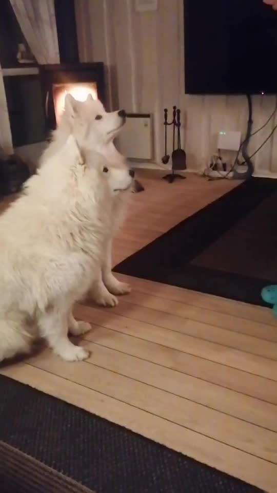 Trick Challange Nr 3-Beitrag-Bild