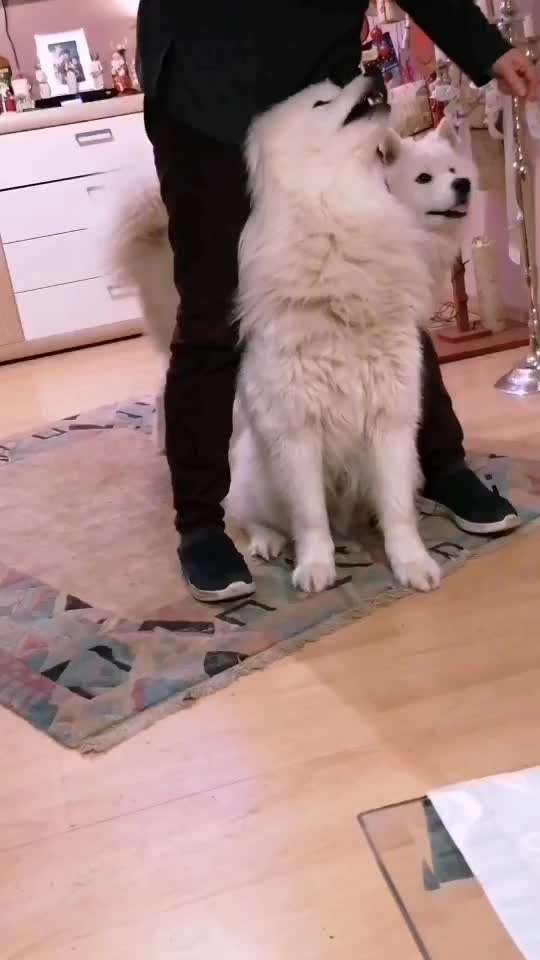 Trick Callange Nr.4-Beitrag-Bild