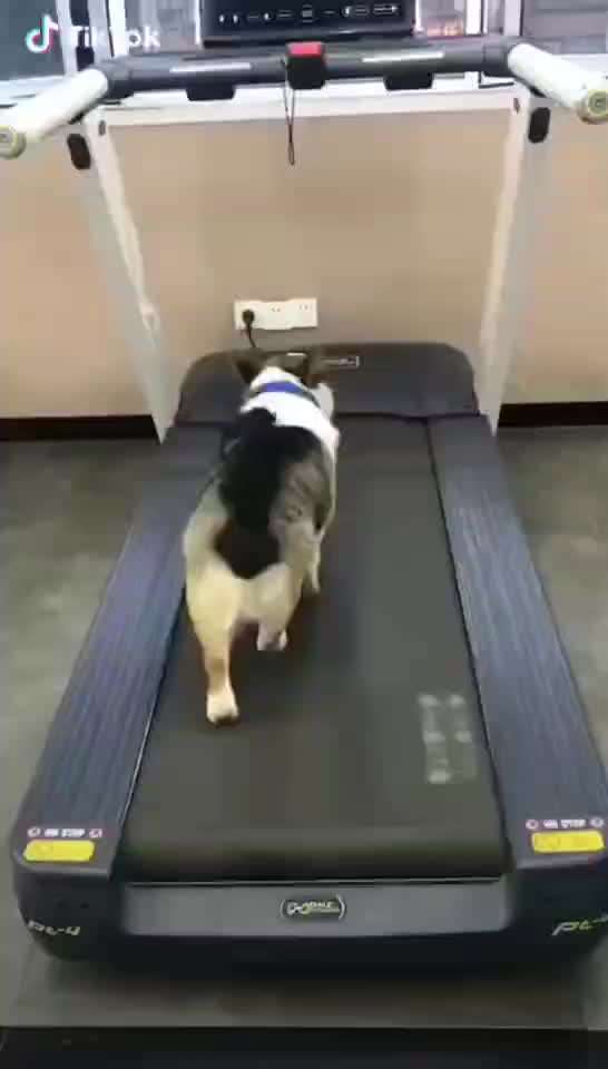 Fixateur extern - wie geht man damit um?-Beitrag-Bild