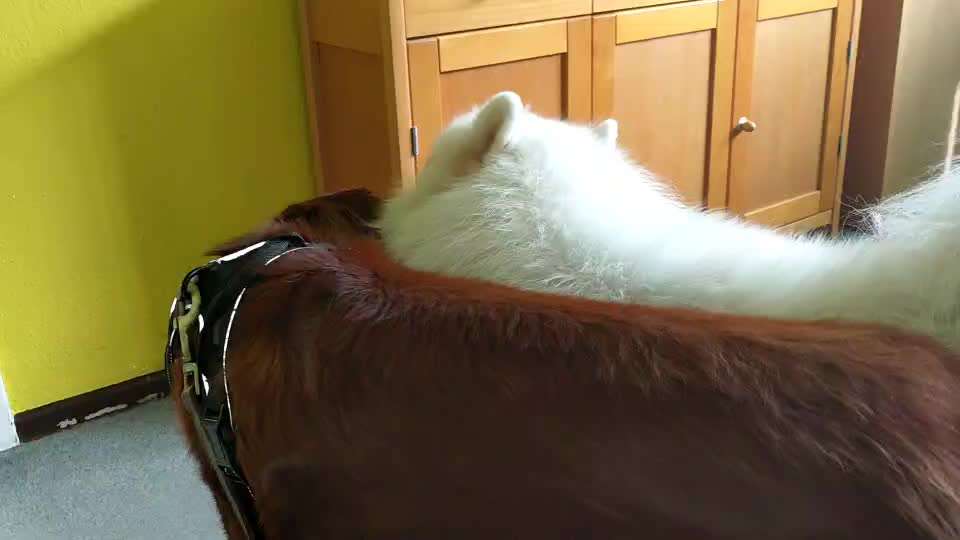 Analyse & Interpretation von Verhalten-Beitrag-Bild