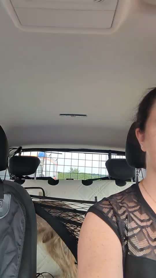 Handy Video Challenge Nr. 39- Bellen u.s.w.-Beitrag-Bild