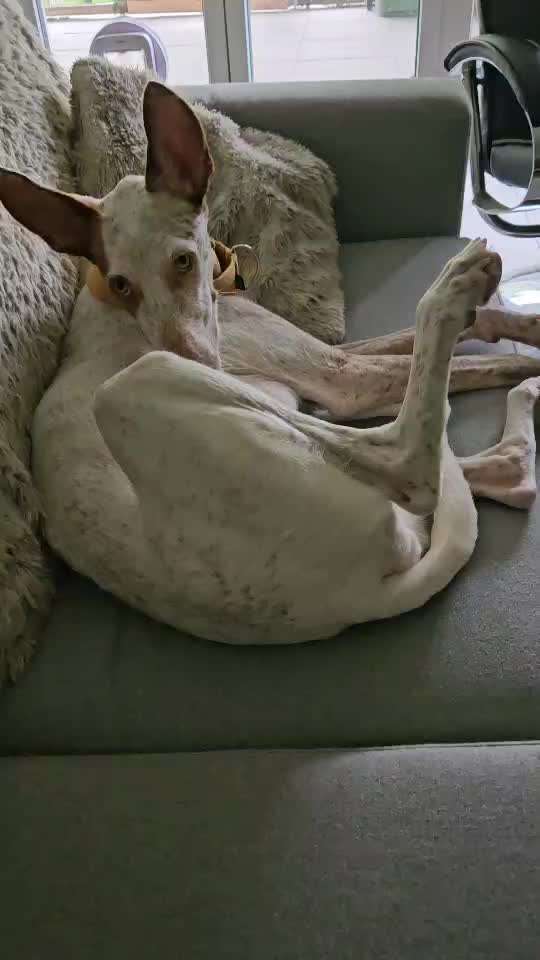 Analyse & Interpretation von Verhalten-Beitrag-Bild