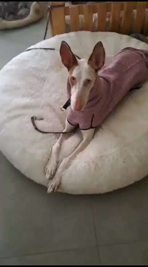 Trick Spiel - ich packe meinen 10. Koffer-Beitrag-Bild