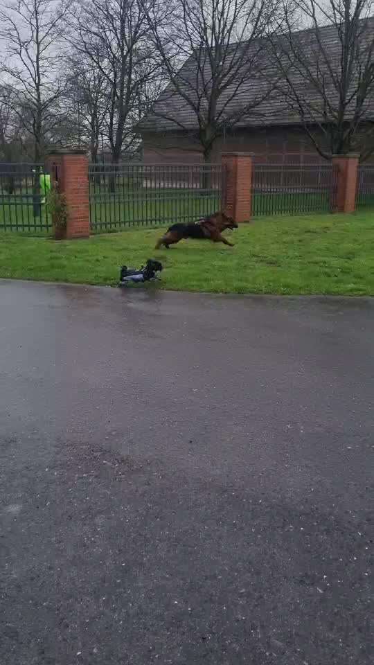 Analyse & Interpretation von Verhalten-Beitrag-Bild