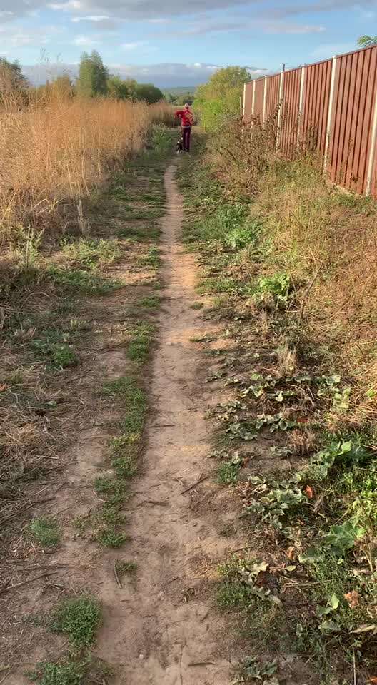 Kotanalyse-Beitrag-Bild