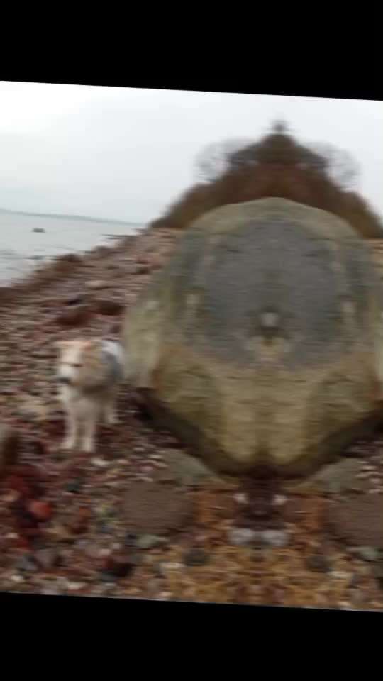 aktuelles Foto Gruppe Wandern und Outdoor