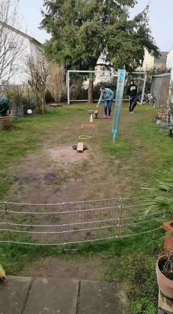 Agility anfangen-Beitrag-Bild