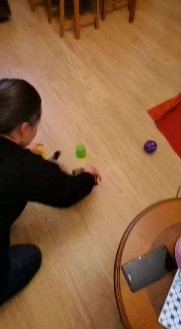 Kleine Welpenspiele-Beitrag-Bild