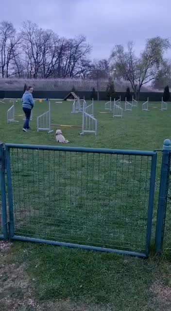 Agility anfangen-Beitrag-Bild