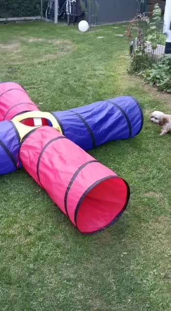 Agility Set-Beitrag-Bild