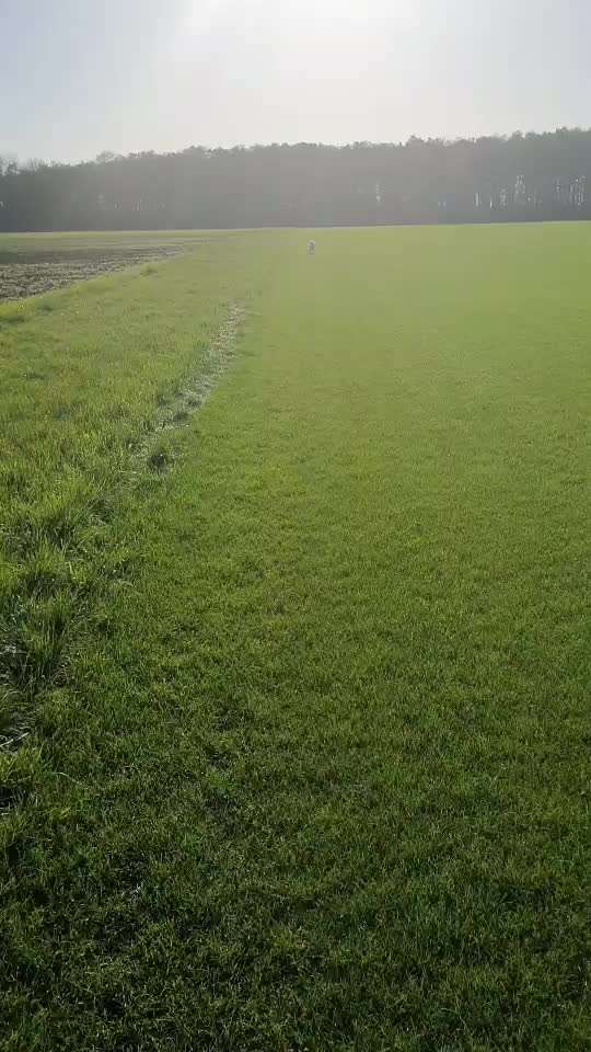 HANDY VIDEO CHALLENGE NR. 30: RÜCKRUF-Beitrag-Bild