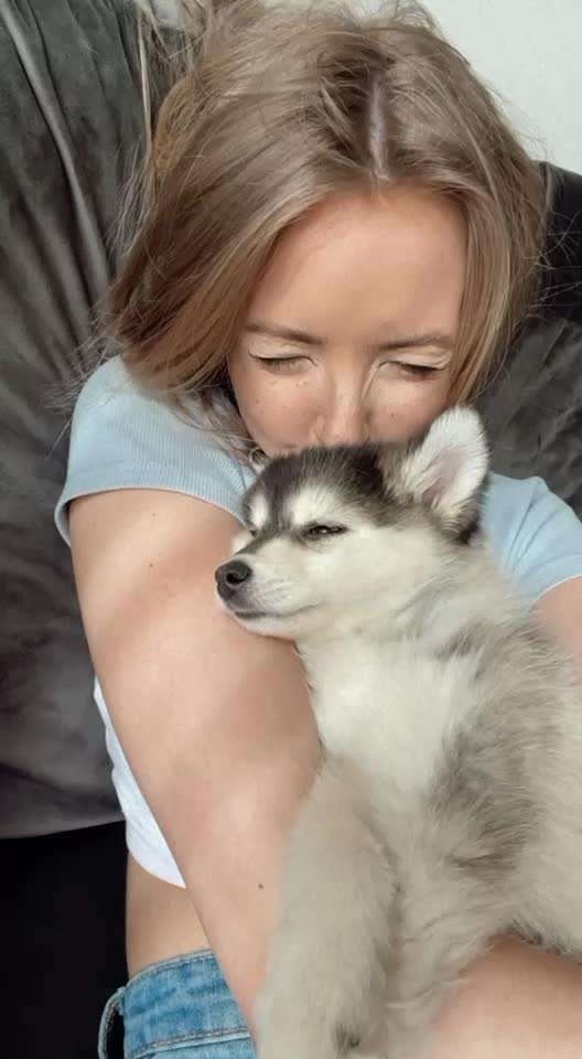 KUSCHEL PARTNER-Beitrag-Bild