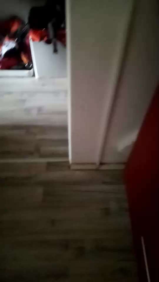 Heute gibt es.....der "ich mach die Leckerlis-Selber-Thread"-Beitrag-Bild