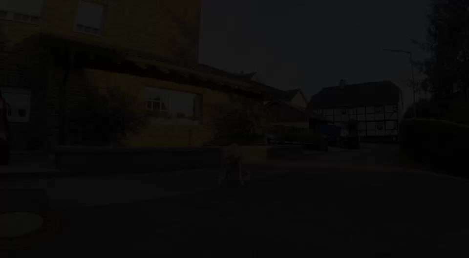 Windhunde - Treffen der besonderen Schönheiten
HERZLICH WILLKOMMEN-Beitrag-Bild